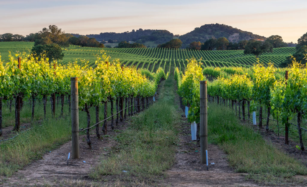 most beautiful places in united states - healdsburg california