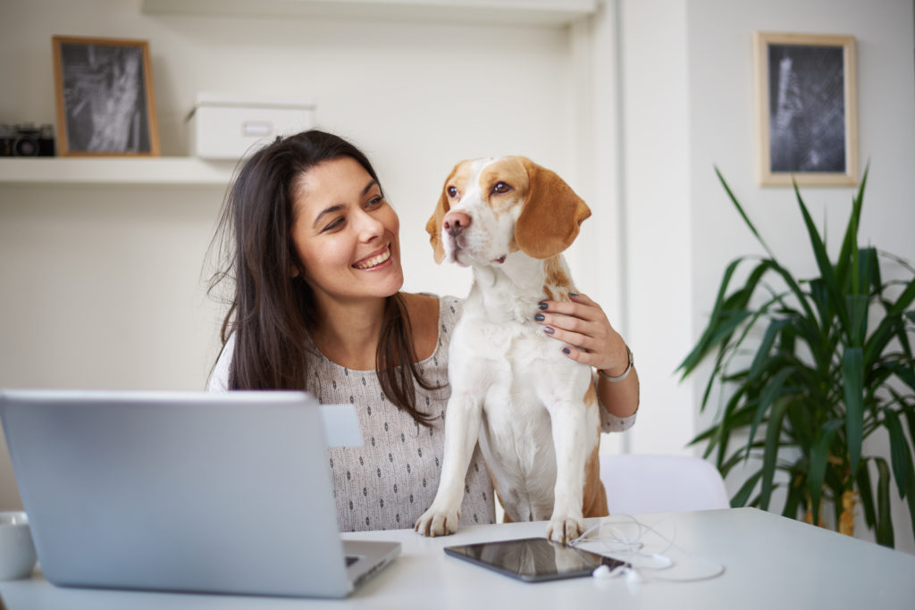 woman working from home with her dog at the desk