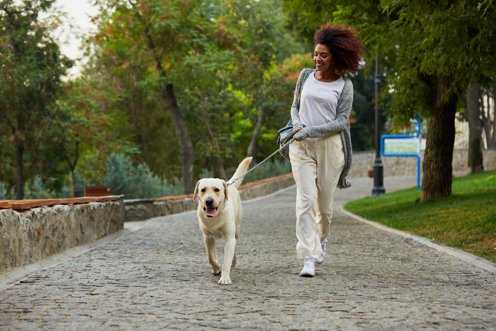 girl walking her dog through a park enjoying light exercise