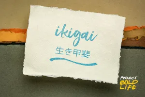 Ikigai is a Japanese concept to improve work and life