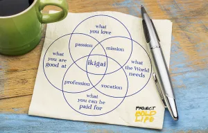 a venn diagram of Japanese concept to improve work and life