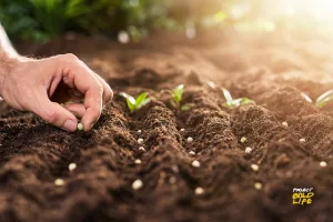 someone planting seeds for the top garden trends of 2024