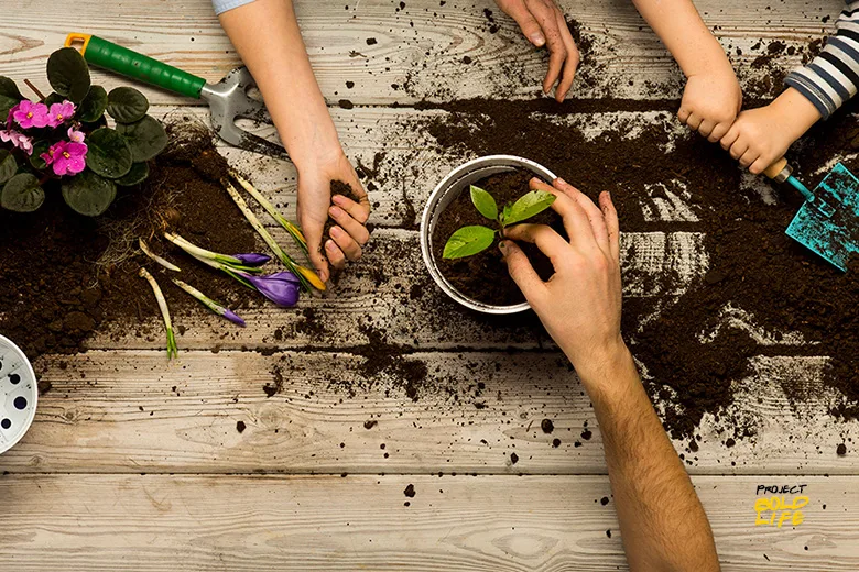 a bunch of hands creating a gardening mess