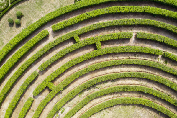 aerial view of a green maze garden to symbolize finding success