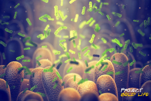 An artists rendering of a healthy gut microbiome