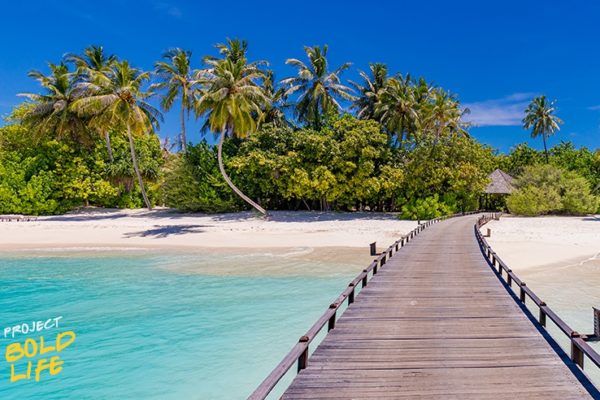 A pretty nice beach with a pier over pristine waters