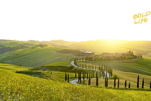 Some rolling green hills with sun shine