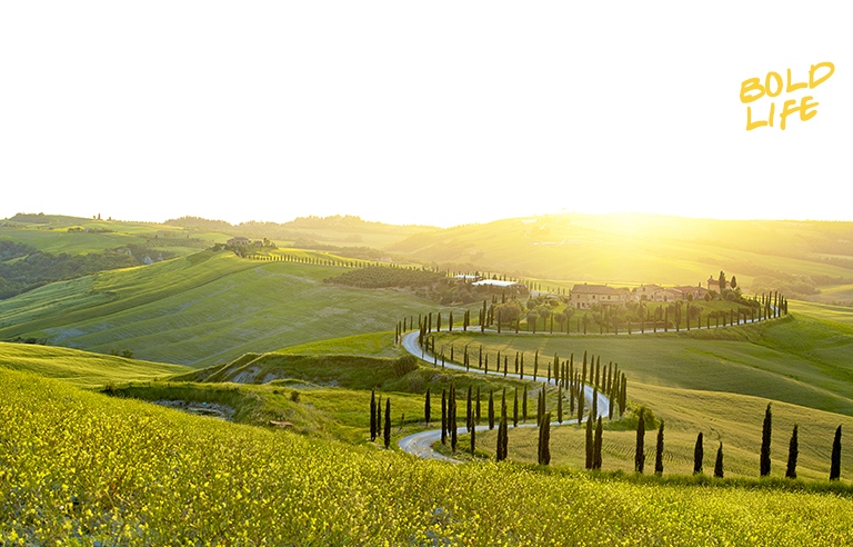 Some rolling green hills with sun shine