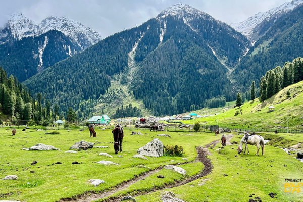 a mountain in the ultimate travel guide to Ladakh