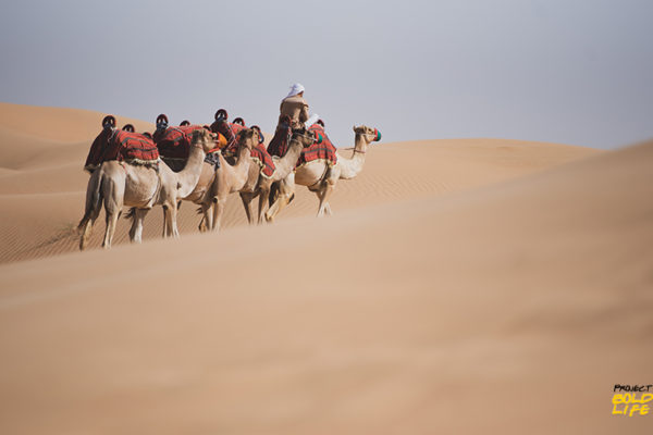 some people having Arabian Desert adventures