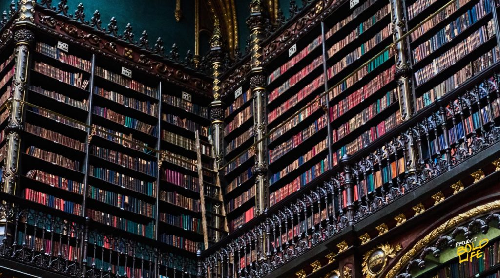 An ornate library filled with towering shelves of colorful books, featuring intricate architectural details and a wooden ladder for access.
